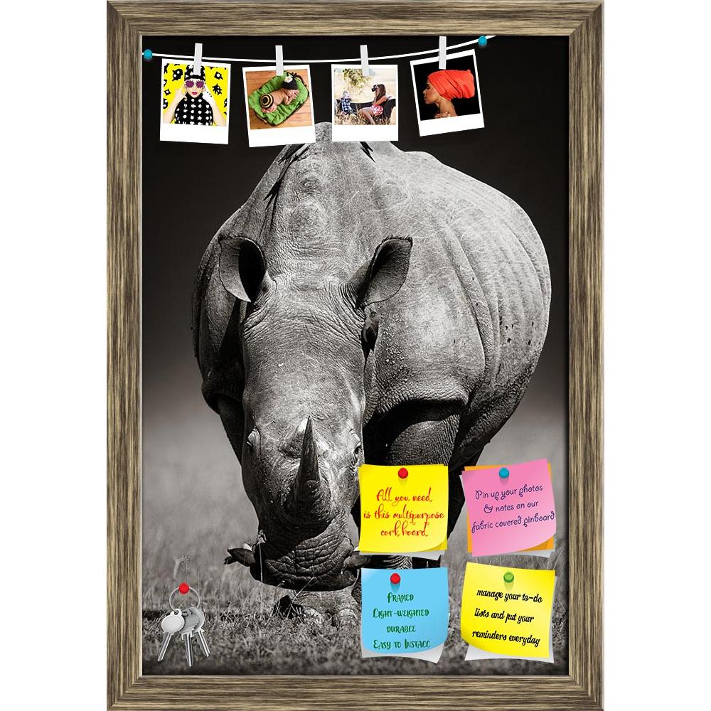 ArtzFolio White Rhinoceros Kruger National Park, South Africa Printed Bulletin Board Notice Pin Board Soft Board | Framed-Bulletin Boards Framed-AZSAO40294963BLB_FR_L-Image Code 5004669 Vishnu Image Folio Pvt Ltd, IC 5004669, ArtzFolio, Bulletin Boards Framed, Animals, Photography, white, rhinoceros, kruger, national, park, south, africa, printed, bulletin, board, notice, pin, soft, framed, rhino, ceratotherium, simum, approach, approaching, front, direct, directly, towards, low, angle, birds, oxpecker, red