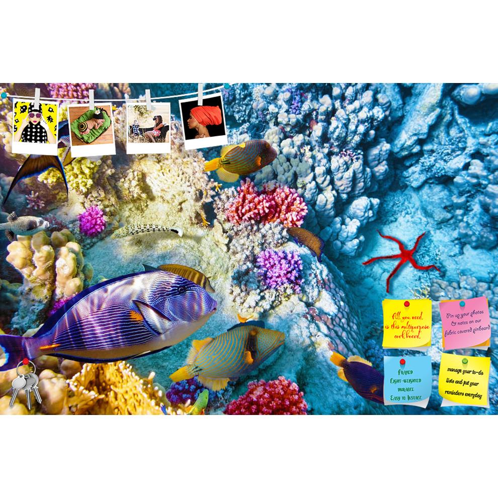 ArtzFolio Corals & Tropical Fish Printed Bulletin Board Notice Pin Board Soft Board | Frameless-Bulletin Boards Frameless-AZSAO40613783BLB_FL_L-Image Code 5004700 Vishnu Image Folio Pvt Ltd, IC 5004700, ArtzFolio, Bulletin Boards Frameless, Animals, Kids, Photography, corals, tropical, fish, printed, bulletin, board, notice, pin, soft, frameless, wonderful, beautiful, underwater, world, andaman, anemonefish, aqua, aquarium, aquatic, atoll, australia, barrier, belize, caribbean, coral, depth, diving, egypt, 