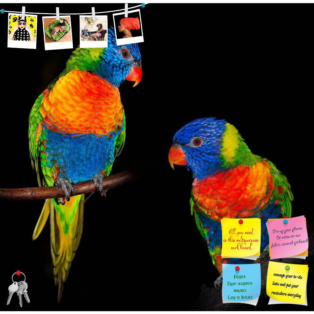 ArtzFolio Rainbow Lorikeet Parrots Printed Bulletin Board Notice Pin Board Soft Board | Frameless-Bulletin Boards Frameless-AZSAO40619958BLB_FL_L-Image Code 5004702 Vishnu Image Folio Pvt Ltd, IC 5004702, ArtzFolio, Bulletin Boards Frameless, Birds, Kids, Photography, rainbow, lorikeet, parrots, printed, bulletin, board, notice, pin, soft, frameless, isolated, black, background, parrot, bird, colourful, colors, colours, colorful, pet, parakeet, animal, cute, wild, feather, adorable, australia, closeup, wing