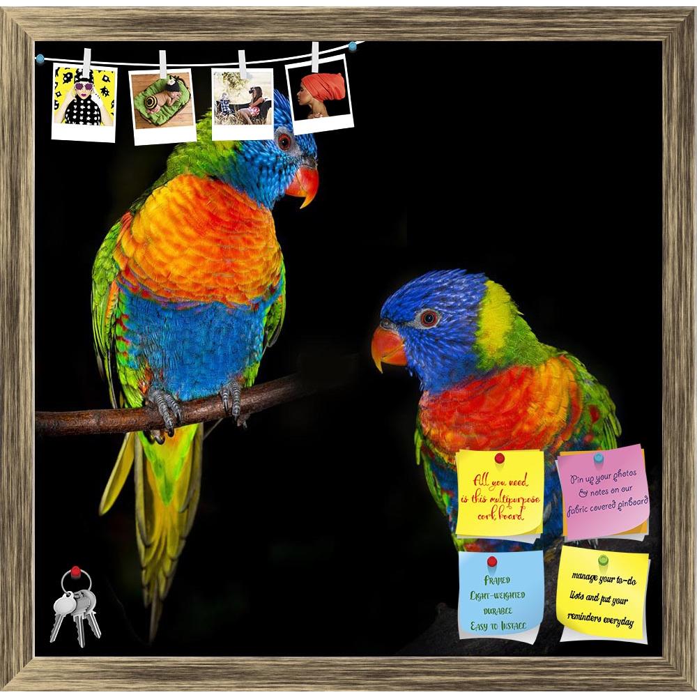 ArtzFolio Rainbow Lorikeet Parrots Printed Bulletin Board Notice Pin Board Soft Board | Framed-Bulletin Boards Framed-AZSAO40619958BLB_FR_L-Image Code 5004702 Vishnu Image Folio Pvt Ltd, IC 5004702, ArtzFolio, Bulletin Boards Framed, Birds, Kids, Photography, rainbow, lorikeet, parrots, printed, bulletin, board, notice, pin, soft, framed, isolated, black, background, parrot, bird, colourful, colors, colours, colorful, pet, parakeet, animal, cute, wild, feather, adorable, australia, closeup, wings, tropical,