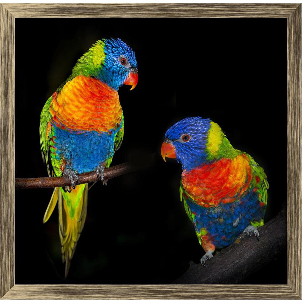 Pitaara Box Rainbow Lorikeet Parrots Canvas Painting Synthetic Frame-Paintings Synthetic Framing-PBART40619958AFF_FW_L-Image Code 5004702 Vishnu Image Folio Pvt Ltd, IC 5004702, Pitaara Box, Paintings Synthetic Framing, Birds, Kids, Photography, rainbow, lorikeet, parrots, canvas, painting, synthetic, frame, isolated, black, background, parrot, bird, colourful, colors, colours, colorful, pet, parakeet, animal, cute, wild, feather, adorable, australia, closeup, wings, tropical, green, red, yellow, orange, fe