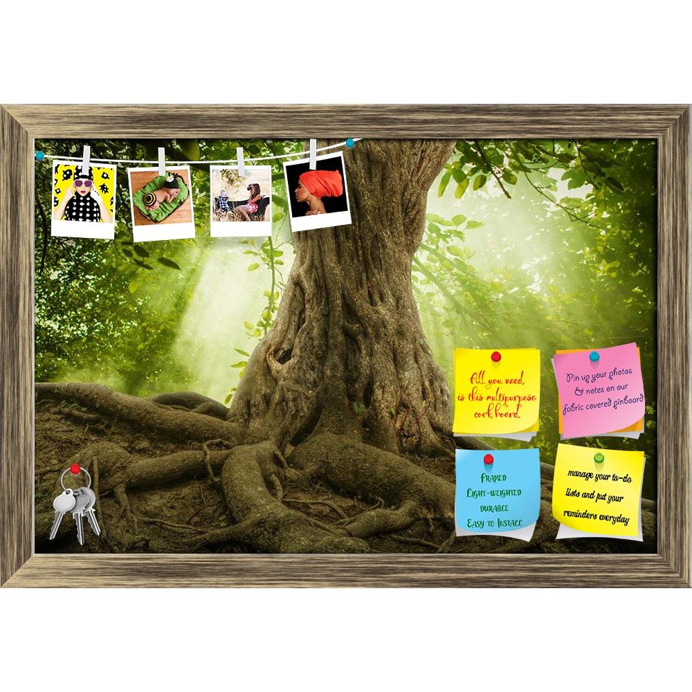 ArtzFolio Big Tree Roots & Sunshine In A Green Forest Printed Bulletin Board Notice Pin Board Soft Board | Framed-Bulletin Boards Framed-AZSAO40630695BLB_FR_L-Image Code 5004708 Vishnu Image Folio Pvt Ltd, IC 5004708, ArtzFolio, Bulletin Boards Framed, Landscapes, Photography, big, tree, roots, sunshine, in, a, green, forest, printed, bulletin, board, notice, pin, soft, framed, root, old, moss, trunk, botany, huge, giant, deep, magical, bark, leaf, day, branch, ground, woods, rain, spring, plant, growth, su
