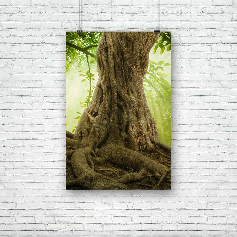 Big Tree Roots & Sunshine In A Green Forest Unframed Paper Poster-Paper Posters Unframed-POS_UN-IC 5004708 IC 5004708, Fantasy, Landscapes, Nature, Perspective, Scenic, Wooden, big, tree, roots, sunshine, in, a, green, forest, unframed, paper, poster, scenery, trees, landscape, old, serenity, woods, trunk, with, root, large, branches, moss, bark, deep, spring, botany, branch, brown, calm, colorful, day, environment, foliage, giant, ground, growth, height, huge, leaf, light, magical, natural, place, plant, r