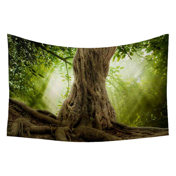 ArtzFolio Big Tree Roots & Sunshine In A Green Forest Fabric Tapestry Wall Hanging-Tapestries-AZART40630695TAP_L-Image Code 5004708 Vishnu Image Folio Pvt Ltd, IC 5004708, ArtzFolio, Tapestries, Landscapes, Photography, big, tree, roots, sunshine, in, a, green, forest, canvas, fabric, painting, tapestry, wall, art, hanging, root, old, moss, trunk, botany, huge, giant, deep, magical, bark, leaf, day, branch, ground, woods, rain, spring, plant, growth, summer, shine, warm, calm, brown, yellow, sunny, scenery,