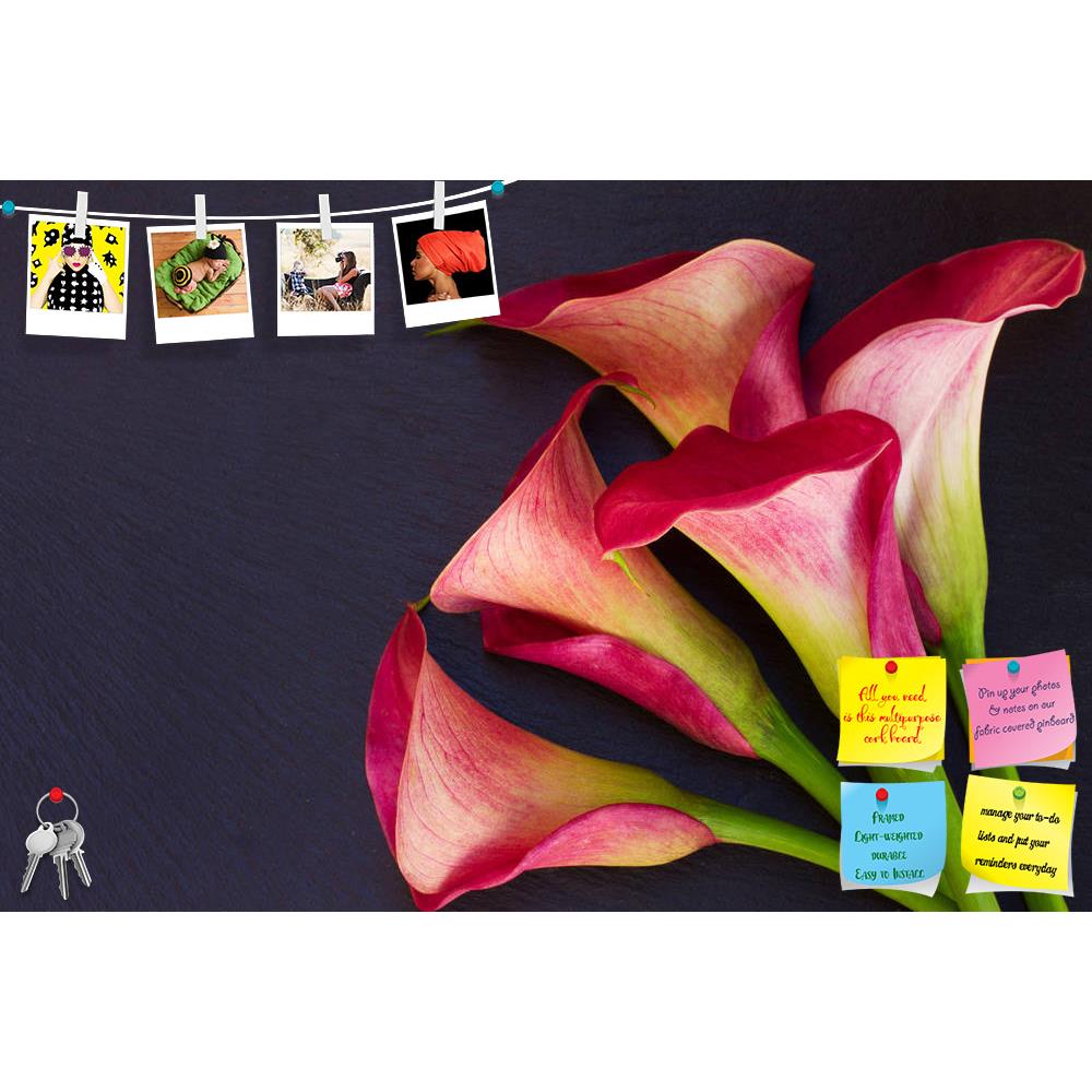 ArtzFolio Calla Lilly Printed Bulletin Board Notice Pin Board Soft Board | Frameless-Bulletin Boards Frameless-AZSAO41622502BLB_FL_L-Image Code 5004841 Vishnu Image Folio Pvt Ltd, IC 5004841, ArtzFolio, Bulletin Boards Frameless, Floral, Photography, calla, lilly, printed, bulletin, board, notice, pin, soft, frameless, lily, flower, nature, pink, red, lilies, background, bouquet, flowers, stem, zantedeschia, beautiful, beauty, green, plant, bloom, botany, arum, studio, aethiopica, exotic, callas, teal, lill