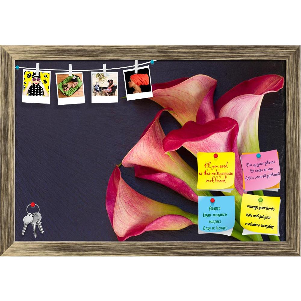 ArtzFolio Calla Lilly Printed Bulletin Board Notice Pin Board Soft Board | Framed-Bulletin Boards Framed-AZSAO41622502BLB_FR_L-Image Code 5004841 Vishnu Image Folio Pvt Ltd, IC 5004841, ArtzFolio, Bulletin Boards Framed, Floral, Photography, calla, lilly, printed, bulletin, board, notice, pin, soft, framed, lily, flower, nature, pink, red, lilies, background, bouquet, flowers, stem, zantedeschia, beautiful, beauty, green, plant, bloom, botany, arum, studio, aethiopica, exotic, callas, teal, lillies, flora, 
