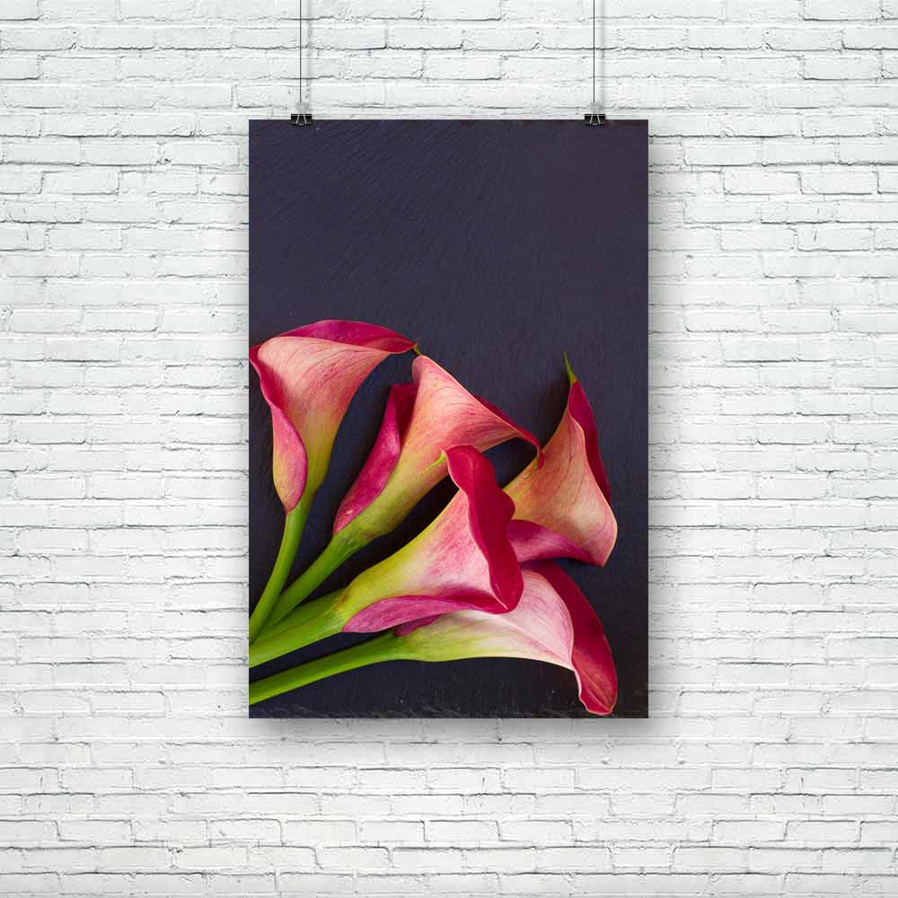 Calla Lilly Unframed Paper Poster-Paper Posters Unframed-POS_UN-IC 5004841 IC 5004841, Black, Black and White, Botanical, Floral, Flowers, Nature, Scenic, calla, lilly, unframed, paper, poster, arum, background, beautiful, beauty, bloom, blossom, botany, bouquet, elegant, exotic, flora, flower, green, lilies, lillies, lily, petal, pink, plant, purple, red, spring, stem, studio, teal, zantedeschia, artzfolio, posters, wall posters, posters for room, posters for room decoration, office poster, door poster, ba