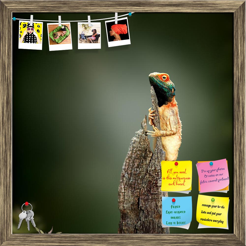 ArtzFolio Exotic Lizard Sunbathing On Tree Stump Printed Bulletin Board Notice Pin Board Soft Board | Framed-Bulletin Boards Framed-AZSAO41988789BLB_FR_L-Image Code 5004903 Vishnu Image Folio Pvt Ltd, IC 5004903, ArtzFolio, Bulletin Boards Framed, Animals, Photography, exotic, lizard, sunbathing, on, tree, stump, printed, bulletin, board, notice, pin, soft, framed, agama, ground, male, bathing, log, branch, top, cling, perched, sit, green, orange, upright, vertical, position, climbing, aculeata, animal, rep