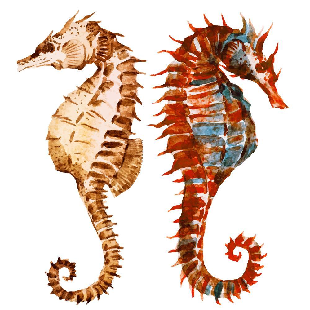 Seahorses Canvas Painting Synthetic Frame-Paintings MDF Framing-AFF_FR-IC 5005037 IC 5005037, Ancient, Animals, Art and Paintings, Black and White, Drawing, Historical, Illustrations, Medieval, Nature, Retro, Scenic, Signs, Signs and Symbols, Tropical, Vintage, Watercolour, White, Wildlife, seahorses, canvas, painting, synthetic, frame, seahorse, animal, aquarium, aquatic, art, artwork, beautiful, blue, color, colorful, cute, design, drawn, fish, green, hand, horse, illustration, isolated, life, like, marin