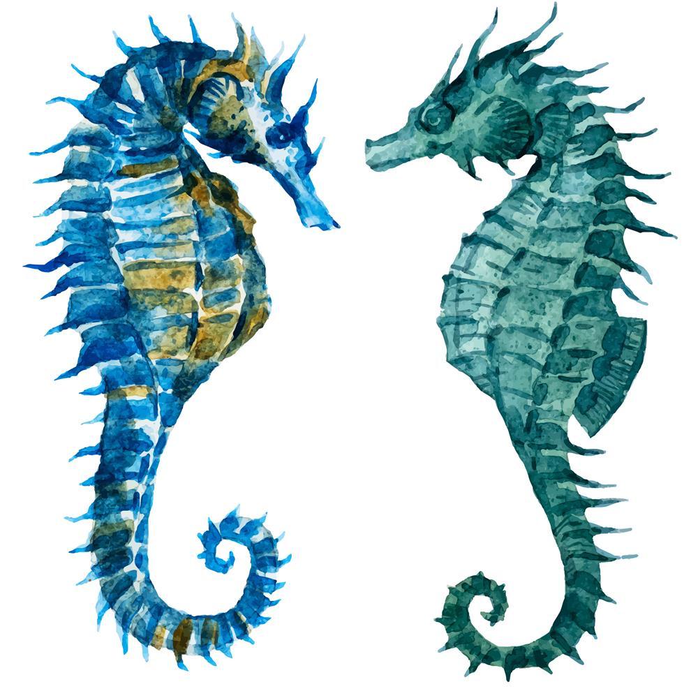 Seahorses, Ancient, Animals, Art and Paintings, Black and White, Drawing, Historical, Illustrations, Medieval, Nature, Retro, Scenic, Signs, Signs and Symbols, Tropical, Vintage, Watercolour, White, Wildlife, wall decor for living room, wall frames for living room, frames for living room, wall art, canvas painting, wall frame, scenery, panting, paintings for living room, framed wall art, wall painting, scenery painting, framed wall painting, scenery for wall with frames, wall art for living room stylish, ho