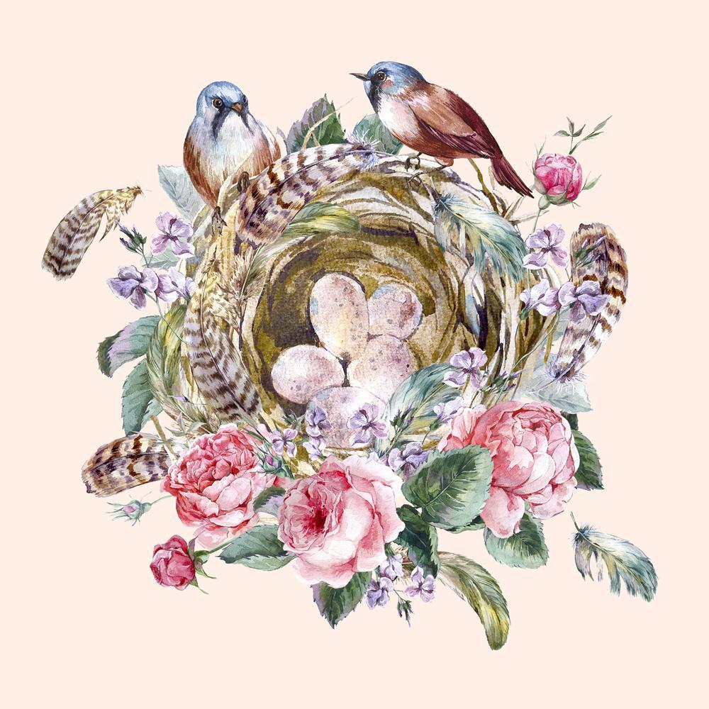 Floral Vintage Greeting Card Canvas Painting Synthetic Frame-Paintings MDF Framing-AFF_FR-IC 5005049 IC 5005049, Ancient, Art and Paintings, Birds, Botanical, Floral, Flowers, Historical, Illustrations, Medieval, Nature, Retro, Scenic, Seasons, Vintage, Watercolour, Wedding, greeting, card, canvas, painting, synthetic, frame, art, background, bird, blossom, boho, chic, collection, easter, egg, elegant, feather, flower, illustration, natural, nest, pink, romantic, rose, season, shabby, spring, summer, waterc