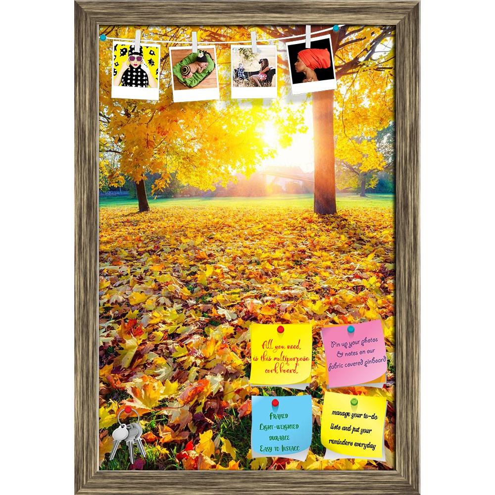 ArtzFolio Colorful Foliage In The Autumn Park Printed Bulletin Board Notice Pin Board Soft Board | Framed-Bulletin Boards Framed-AZSAO43657766BLB_FR_L-Image Code 5005143 Vishnu Image Folio Pvt Ltd, IC 5005143, ArtzFolio, Bulletin Boards Framed, Landscapes, Photography, colorful, foliage, in, the, autumn, park, printed, bulletin, board, notice, pin, soft, framed, fall, nature, leaves, season, orange, yellow, sun, sunny, sunlight, maple, red, tree, forest, landscape, color, green, beauty, bright, fresh, natur