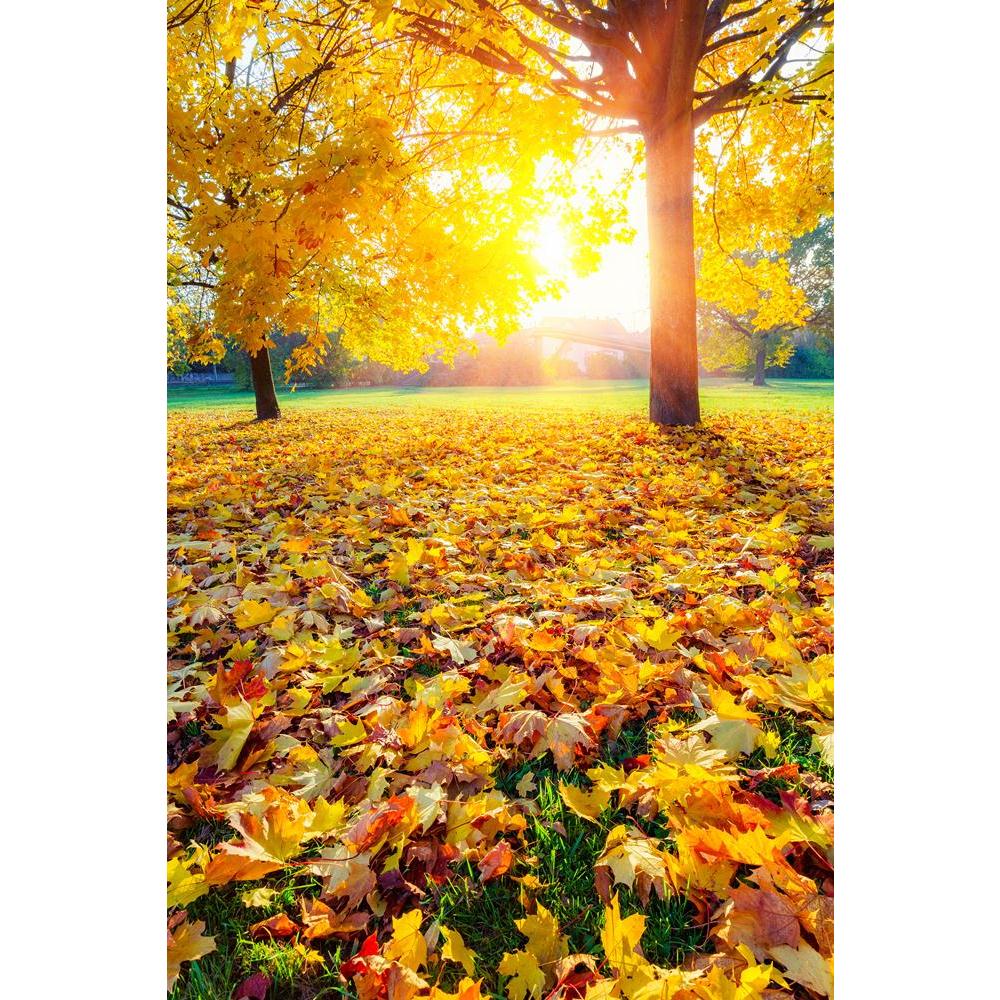 Colorful Foliage In The Autumn Park Canvas Painting Synthetic Frame-Paintings MDF Framing-AFF_FR-IC 5005143 IC 5005143, Landscapes, Nature, Rural, Scenic, Seasons, Wooden, colorful, foliage, in, the, autumn, park, canvas, painting, synthetic, frame, beam, beautiful, beauty, bright, color, environment, fall, forest, fresh, golden, green, landscape, leaves, light, maple, natural, orange, outdoors, plant, rays, red, scenics, season, sun, sunlight, sunny, tree, vibrant, woods, yellow, artzfolio, wall decor for 