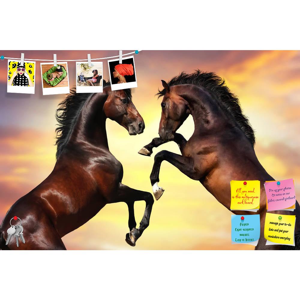 ArtzFolio Two Bay Stallion With Long Mane Printed Bulletin Board Notice Pin Board Soft Board | Frameless-Bulletin Boards Frameless-AZSAO43686731BLB_FL_L-Image Code 5005147 Vishnu Image Folio Pvt Ltd, IC 5005147, ArtzFolio, Bulletin Boards Frameless, Animals, Photography, two, bay, stallion, with, long, mane, printed, bulletin, board, notice, pin, soft, frameless, rearing, against, sunset, sky, pin up board, push pin board, extra large cork board, big pin board, notice board, small bulletin board, cork board