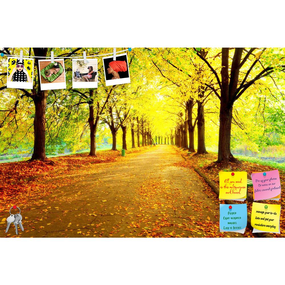 ArtzFolio Autumn In City Park Printed Bulletin Board Notice Pin Board Soft Board | Frameless-Bulletin Boards Frameless-AZSAO43936835BLB_FL_L-Image Code 5005170 Vishnu Image Folio Pvt Ltd, IC 5005170, ArtzFolio, Bulletin Boards Frameless, Landscapes, Photography, autumn, in, city, park, printed, bulletin, board, notice, pin, soft, frameless, colourful, leaves, sun, light, empty, bench, near, tree, beauty, nature, scene, fall, season, landscape, evening, foliage, nobody, outdoors, pathway, photo, plant, road,