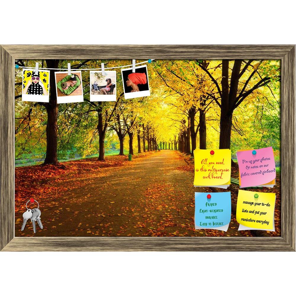 ArtzFolio Autumn In City Park Printed Bulletin Board Notice Pin Board Soft Board | Framed-Bulletin Boards Framed-AZSAO43936835BLB_FR_L-Image Code 5005170 Vishnu Image Folio Pvt Ltd, IC 5005170, ArtzFolio, Bulletin Boards Framed, Landscapes, Photography, autumn, in, city, park, printed, bulletin, board, notice, pin, soft, framed, colourful, leaves, sun, light, empty, bench, near, tree, beauty, nature, scene, fall, season, landscape, evening, foliage, nobody, outdoors, pathway, photo, plant, road, sunlight, v