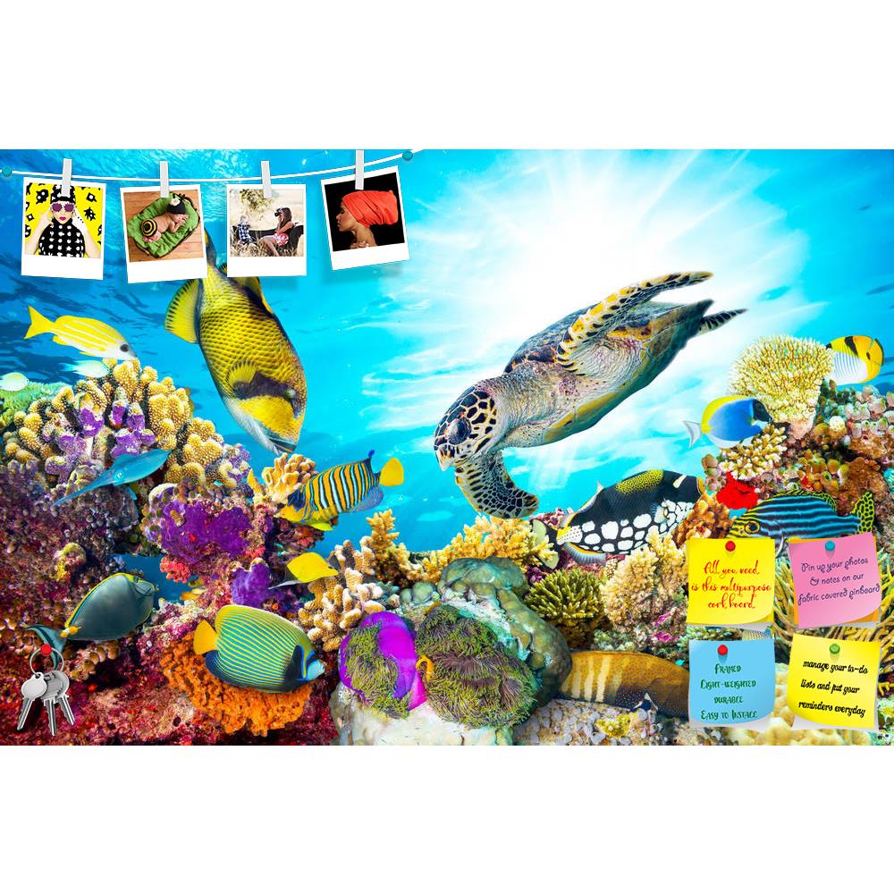 ArtzFolio Coral Reef With Fishes & Sea Turtle Printed Bulletin Board Notice Pin Board Soft Board | Frameless-Bulletin Boards Frameless-AZSAO44151192BLB_FL_L-Image Code 5005180 Vishnu Image Folio Pvt Ltd, IC 5005180, ArtzFolio, Bulletin Boards Frameless, Animals, Kids, Photography, coral, reef, with, fishes, sea, turtle, printed, bulletin, board, notice, pin, soft, frameless, colorful, many, fish, underwater, aquarium, ocean, tropical, marine, nature, red, egypt, water, life, wildlife, blue, aquatic, diving,