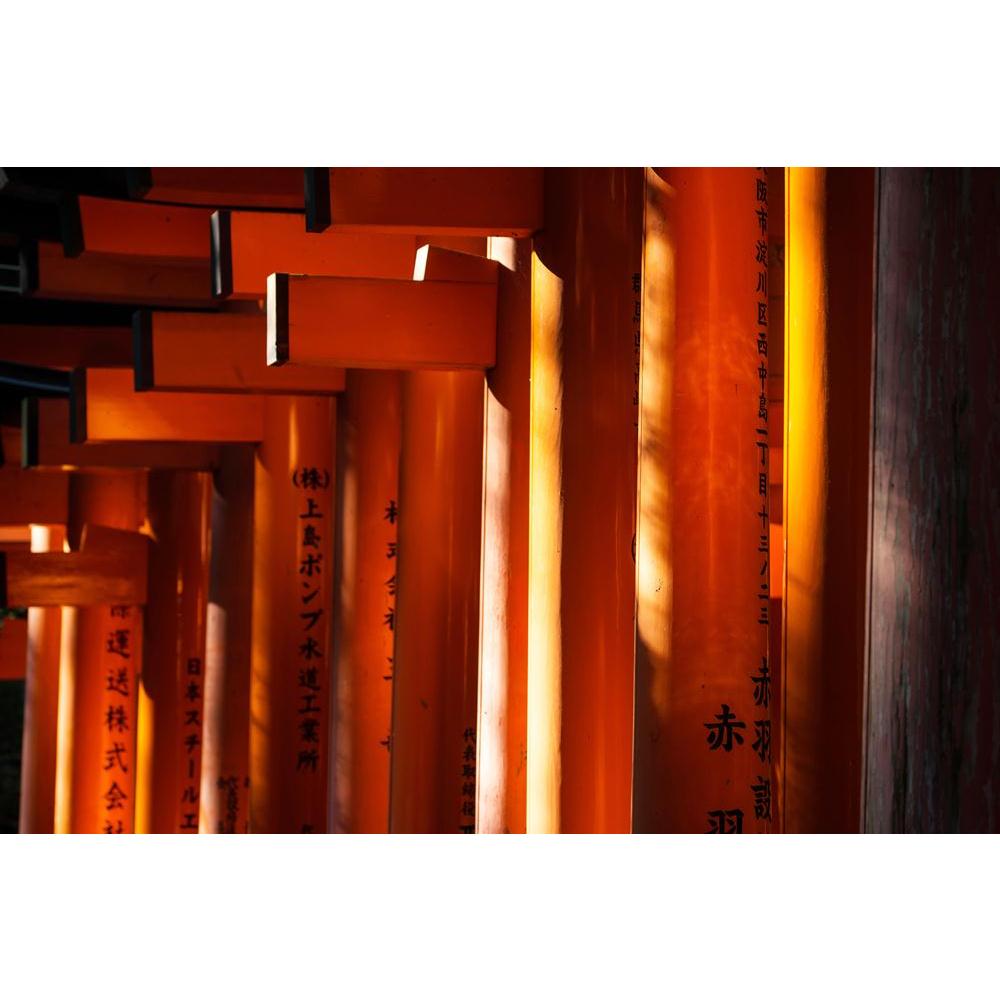 Torii Gates At Fushimi Inari Shrine In Kyoto Japan Canvas Painting Synthetic Frame-Paintings MDF Framing-AFF_FR-IC 5005241 IC 5005241, Ancient, Architecture, Asian, Automobiles, Culture, Ethnic, Historical, Japanese, Landmarks, Medieval, Places, Religion, Religious, Shinto, Signs, Signs and Symbols, Spiritual, Symbols, Traditional, Transportation, Travel, Tribal, Vehicles, Vintage, Wooden, World Culture, torii, gates, at, fushimi, inari, shrine, in, kyoto, japan, canvas, painting, synthetic, frame, asia, at