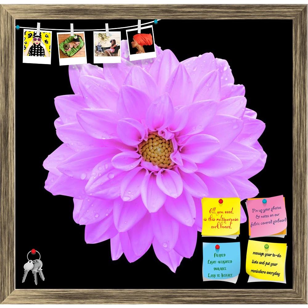 ArtzFolio Violet Flower Dahlia Printed Bulletin Board Notice Pin Board Soft Board | Framed-Bulletin Boards Framed-AZSAO45053023BLB_FR_L-Image Code 5005257 Vishnu Image Folio Pvt Ltd, IC 5005257, ArtzFolio, Bulletin Boards Framed, Floral, Photography, violet, flower, dahlia, printed, bulletin, board, notice, pin, soft, framed, macro, isolated, black, pin up board, push pin board, extra large cork board, big pin board, notice board, small bulletin board, cork board, wall notice board, giant cork board, bullet