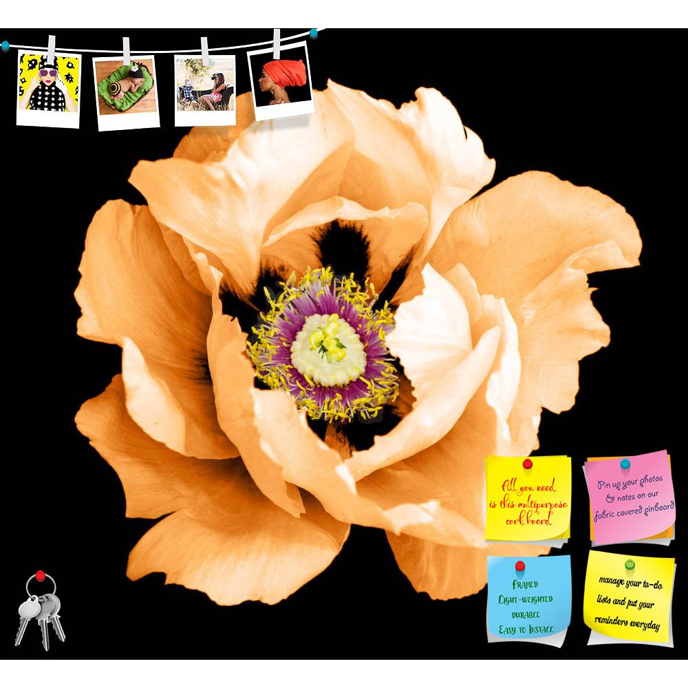 ArtzFolio Orange Peony Flower Printed Bulletin Board Notice Pin Board Soft Board | Frameless-Bulletin Boards Frameless-AZSAO45054982BLB_FL_L-Image Code 5005258 Vishnu Image Folio Pvt Ltd, IC 5005258, ArtzFolio, Bulletin Boards Frameless, Floral, Photography, orange, peony, flower, printed, bulletin, board, notice, pin, soft, frameless, macro, isolated, black, closeup, blossoming, green, white, spring, pin up board, push pin board, extra large cork board, big pin board, notice board, small bulletin board, co