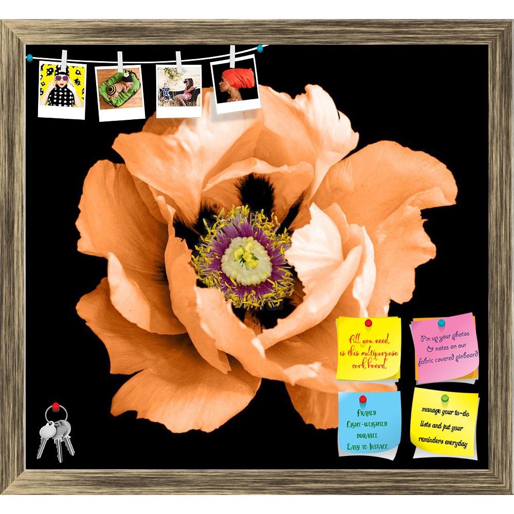 ArtzFolio Orange Peony Flower Printed Bulletin Board Notice Pin Board Soft Board | Framed-Bulletin Boards Framed-AZSAO45054982BLB_FR_L-Image Code 5005258 Vishnu Image Folio Pvt Ltd, IC 5005258, ArtzFolio, Bulletin Boards Framed, Floral, Photography, orange, peony, flower, printed, bulletin, board, notice, pin, soft, framed, macro, isolated, black, closeup, blossoming, green, white, spring, pin up board, push pin board, extra large cork board, big pin board, notice board, small bulletin board, cork board, wa