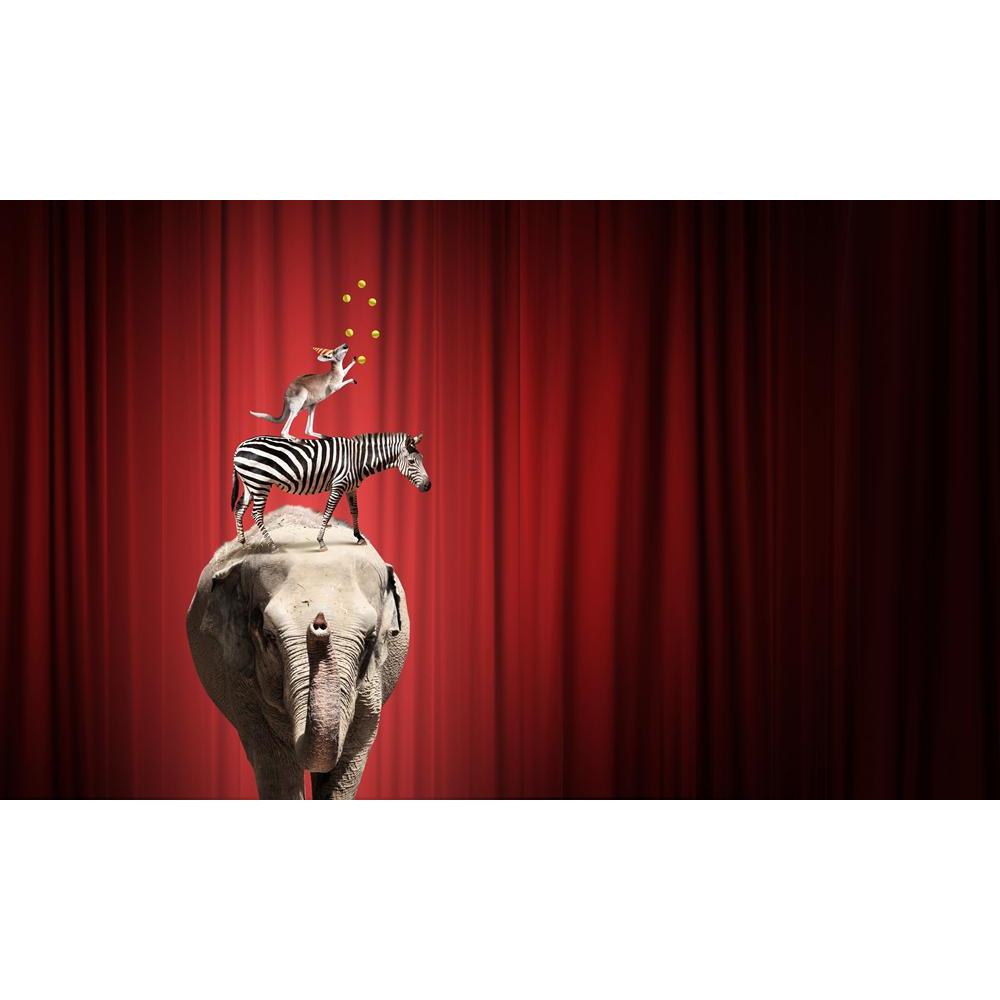 Circus Animals Balancing On Ball Canvas Painting Synthetic Frame-Paintings MDF Framing-AFF_FR-IC 5005293 IC 5005293, Animals, Realism, Sports, Surrealism, circus, balancing, on, ball, canvas, painting, synthetic, frame, acrobat, acrobatic, animal, balance, concentration, curtain, elephant, equilibrium, fun, game, juggler, juggling, kangaroo, motion, performance, risky, rope, skilled, sphere, stage, standing, surreal, artzfolio, wall decor for living room, wall frames for living room, frames for living room,