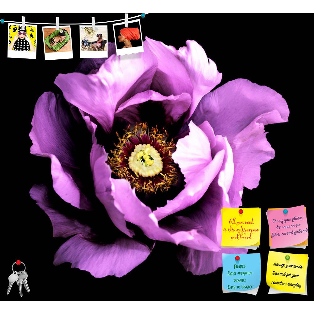 ArtzFolio Violet Peony Flower Printed Bulletin Board Notice Pin Board Soft Board | Frameless-Bulletin Boards Frameless-AZSAO45227186BLB_FL_L-Image Code 5005294 Vishnu Image Folio Pvt Ltd, IC 5005294, ArtzFolio, Bulletin Boards Frameless, Floral, Photography, violet, peony, flower, printed, bulletin, board, notice, pin, soft, frameless, surreal, dark, chrome, macro, isolated, black, closeup, blossoming, green, white, spring, pin up board, push pin board, extra large cork board, big pin board, notice board, s