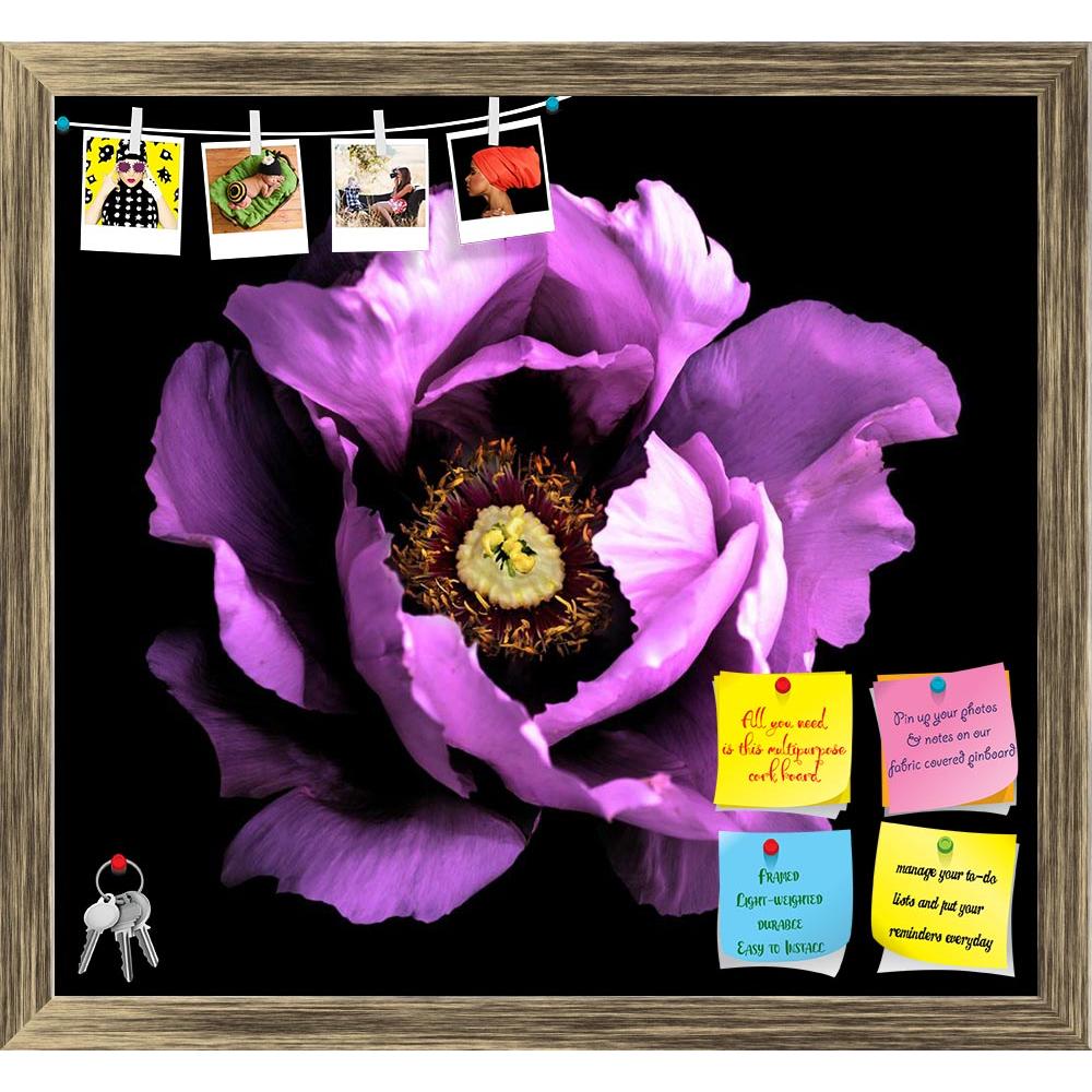 ArtzFolio Violet Peony Flower Printed Bulletin Board Notice Pin Board Soft Board | Framed-Bulletin Boards Framed-AZSAO45227186BLB_FR_L-Image Code 5005294 Vishnu Image Folio Pvt Ltd, IC 5005294, ArtzFolio, Bulletin Boards Framed, Floral, Photography, violet, peony, flower, printed, bulletin, board, notice, pin, soft, framed, surreal, dark, chrome, macro, isolated, black, closeup, blossoming, green, white, spring, pin up board, push pin board, extra large cork board, big pin board, notice board, small bulleti