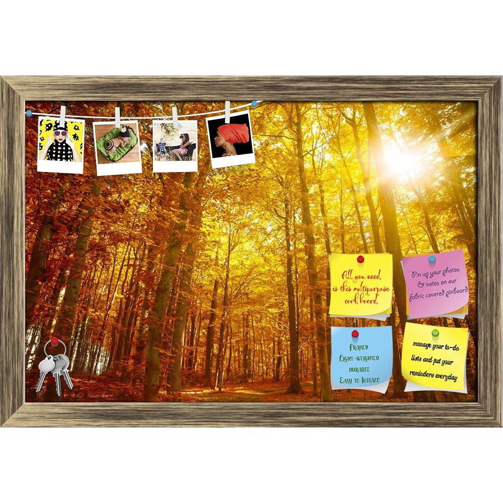 ArtzFolio Autumn Trees Printed Bulletin Board Notice Pin Board Soft Board | Framed-Bulletin Boards Framed-AZSAO45267994BLB_FR_L-Image Code 5005298 Vishnu Image Folio Pvt Ltd, IC 5005298, ArtzFolio, Bulletin Boards Framed, Landscapes, Photography, autumn, trees, printed, bulletin, board, notice, pin, soft, framed, golden, leaves, fall, pin up board, push pin board, extra large cork board, big pin board, notice board, small bulletin board, cork board, wall notice board, giant cork board, bulletin board, offic