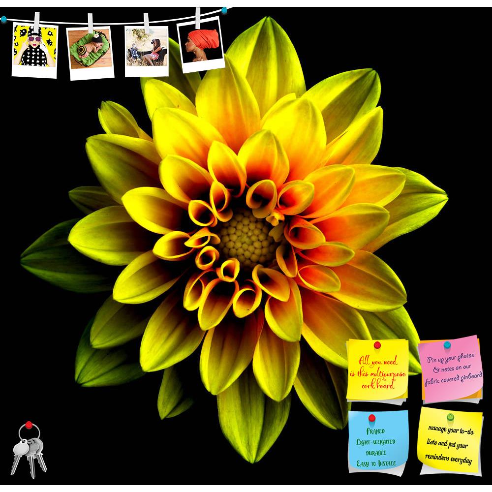 ArtzFolio Gold & Red Flower Dahlia Printed Bulletin Board Notice Pin Board Soft Board | Frameless-Bulletin Boards Frameless-AZSAO45528674BLB_FL_L-Image Code 5005312 Vishnu Image Folio Pvt Ltd, IC 5005312, ArtzFolio, Bulletin Boards Frameless, Floral, Photography, gold, red, flower, dahlia, printed, bulletin, board, notice, pin, soft, frameless, surreal, dark, chrome, macro, isolated, black, beautiful, garden, background, plant, bea, pin up board, push pin board, extra large cork board, big pin board, notice