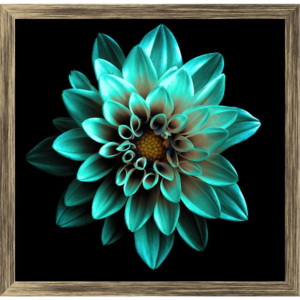 Pitaara Box Turquoise Flower Dahlia Canvas Painting Synthetic Frame-Paintings Synthetic Framing-PBART45528708AFF_FW_L-Image Code 5005313 Vishnu Image Folio Pvt Ltd, IC 5005313, Pitaara Box, Paintings Synthetic Framing, Floral, Photography, turquoise, flower, dahlia, canvas, painting, synthetic, frame, surreal, dark, chrome, macro, isolated, black, beautiful, garden, background, plant, bea, framed canvas print, wall painting for living room with frame, canvas painting for living room, artzfolio, poster, fram
