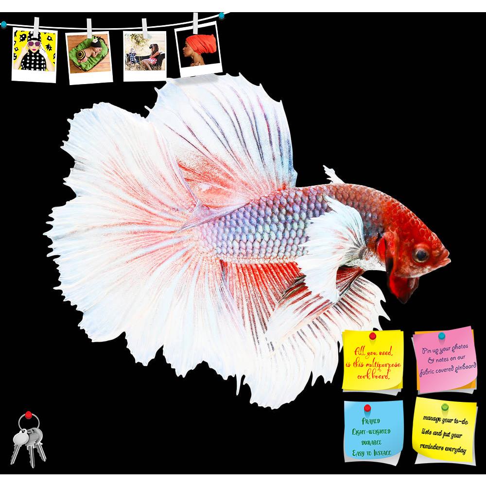 ArtzFolio Betta Fish D2 Printed Bulletin Board Notice Pin Board Soft Board | Frameless-Bulletin Boards Frameless-AZSAO45601850BLB_FL_L-Image Code 5005321 Vishnu Image Folio Pvt Ltd, IC 5005321, ArtzFolio, Bulletin Boards Frameless, Animals, Photography, betta, fish, d2, printed, bulletin, board, notice, pin, soft, frameless, siamese, fighting, splendens, dumbo, halfmoon, bettaisolated, black, background, aggressive, animal, aquarium, aquatic, beautiful, beauty, blue, color, colorful, domestic, dragon, dres