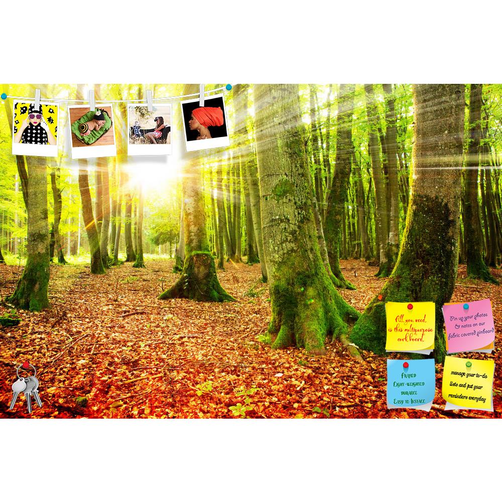 ArtzFolio Autumn Landscape D8 Printed Bulletin Board Notice Pin Board Soft Board | Frameless-Bulletin Boards Frameless-AZSAO46152847BLB_FL_L-Image Code 5005351 Vishnu Image Folio Pvt Ltd, IC 5005351, ArtzFolio, Bulletin Boards Frameless, Landscapes, Photography, autumn, landscape, d8, printed, bulletin, board, notice, pin, soft, frameless, sunset, forest, sun, sunshine, park, light, nature, environment, sunlight, season, leaf, fall, tree, wood, foliage, natural, green, sunbeams, yellow, bright, sunny, sunri