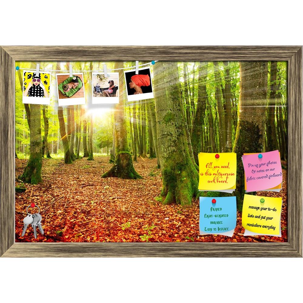 ArtzFolio Autumn Landscape D8 Printed Bulletin Board Notice Pin Board Soft Board | Framed-Bulletin Boards Framed-AZSAO46152847BLB_FR_L-Image Code 5005351 Vishnu Image Folio Pvt Ltd, IC 5005351, ArtzFolio, Bulletin Boards Framed, Landscapes, Photography, autumn, landscape, d8, printed, bulletin, board, notice, pin, soft, framed, sunset, forest, sun, sunshine, park, light, nature, environment, sunlight, season, leaf, fall, tree, wood, foliage, natural, green, sunbeams, yellow, bright, sunny, sunrise, mist, pa