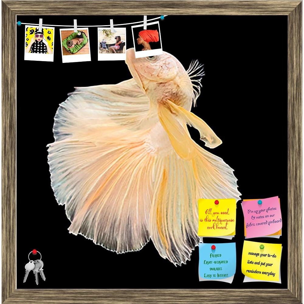 ArtzFolio Betta Fish D4 Printed Bulletin Board Notice Pin Board Soft Board | Framed-Bulletin Boards Framed-AZSAO46697886BLB_FR_L-Image Code 5005409 Vishnu Image Folio Pvt Ltd, IC 5005409, ArtzFolio, Bulletin Boards Framed, Animals, Photography, betta, fish, d4, printed, bulletin, board, notice, pin, soft, framed, siamese, fighting, splendens, halfmoon, bettaisolated, black, background, aggressive, animal, aquarium, aquatic, beautiful, beauty, blue, color, colorful, domestic, dragon, dress, isolated, luxury