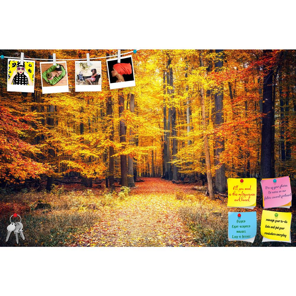 ArtzFolio Pathway In The Autumn Park Printed Bulletin Board Notice Pin Board Soft Board | Frameless-Bulletin Boards Frameless-AZSAO46755932BLB_FL_L-Image Code 5005412 Vishnu Image Folio Pvt Ltd, IC 5005412, ArtzFolio, Bulletin Boards Frameless, Landscapes, Photography, pathway, in, the, autumn, park, printed, bulletin, board, notice, pin, soft, frameless, forest, fall, road, foliage, tree, season, orange, yellow, nature, path, red, landscape, leaves, color, green, beauty, bright, fresh, natural, golden, lig