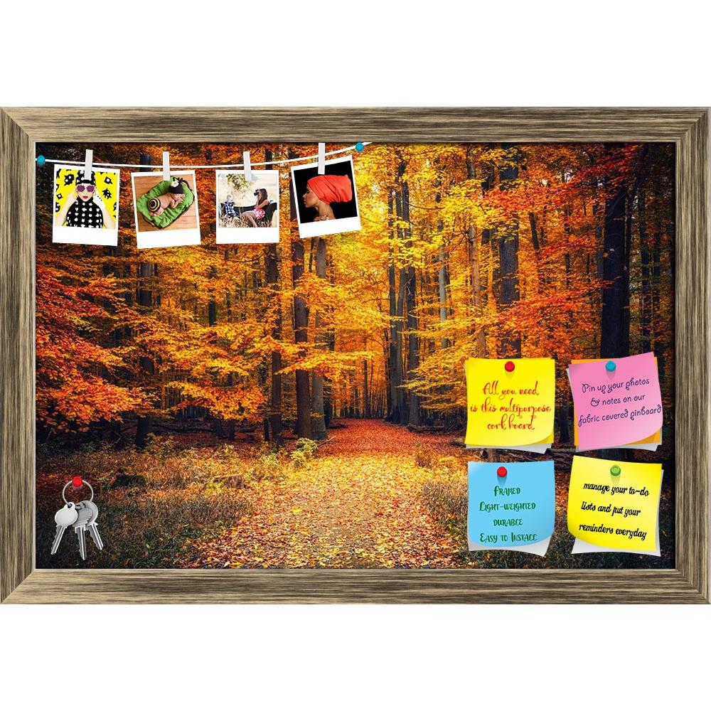 ArtzFolio Pathway In The Autumn Park Printed Bulletin Board Notice Pin Board Soft Board | Framed-Bulletin Boards Framed-AZSAO46755932BLB_FR_L-Image Code 5005412 Vishnu Image Folio Pvt Ltd, IC 5005412, ArtzFolio, Bulletin Boards Framed, Landscapes, Photography, pathway, in, the, autumn, park, printed, bulletin, board, notice, pin, soft, framed, forest, fall, road, foliage, tree, season, orange, yellow, nature, path, red, landscape, leaves, color, green, beauty, bright, fresh, natural, golden, light, outdoors