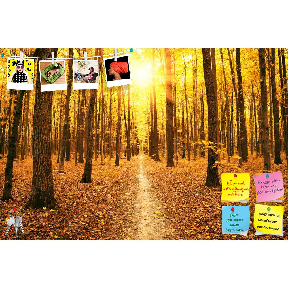 ArtzFolio Autumn Trees In The Forest Printed Bulletin Board Notice Pin Board Soft Board | Frameless-Bulletin Boards Frameless-AZSAO46794901BLB_FL_L-Image Code 5005416 Vishnu Image Folio Pvt Ltd, IC 5005416, ArtzFolio, Bulletin Boards Frameless, Landscapes, Photography, autumn, trees, in, the, forest, printed, bulletin, board, notice, pin, soft, frameless, background, beauty, colorful, colors, fall, foliage, garden, gold, golden, leaves, nature, november, october, orange, outdoors, parks, path, red, road, se