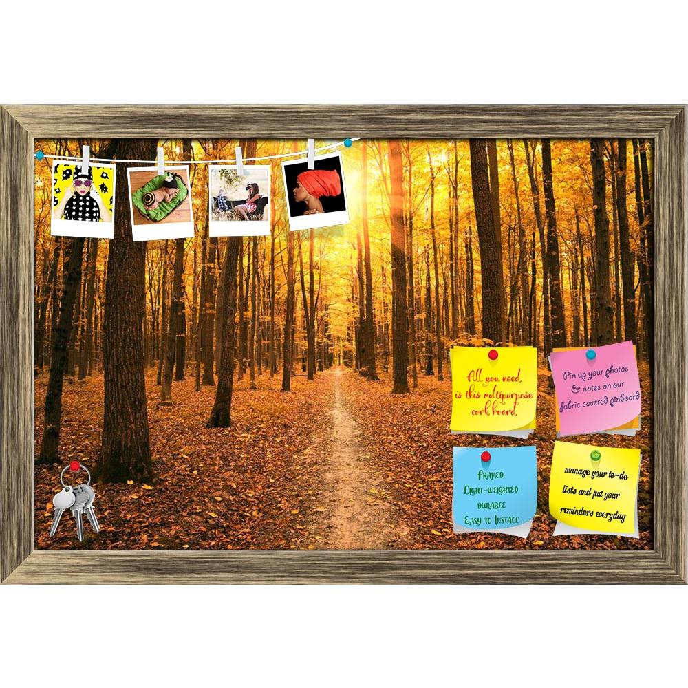 ArtzFolio Autumn Trees In The Forest Printed Bulletin Board Notice Pin Board Soft Board | Framed-Bulletin Boards Framed-AZSAO46794901BLB_FR_L-Image Code 5005416 Vishnu Image Folio Pvt Ltd, IC 5005416, ArtzFolio, Bulletin Boards Framed, Landscapes, Photography, autumn, trees, in, the, forest, printed, bulletin, board, notice, pin, soft, framed, background, beauty, colorful, colors, fall, foliage, garden, gold, golden, leaves, nature, november, october, orange, outdoors, parks, path, red, road, seasons, septe