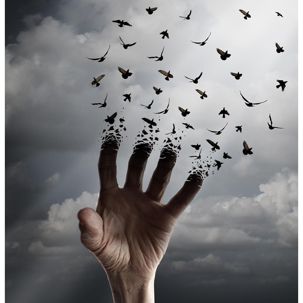 Flying Birds Canvas Painting Synthetic Frame-Paintings MDF Framing-AFF_FR-IC 5005450 IC 5005450, Birds, Conceptual, Inspirational, Motivation, Motivational, Signs and Symbols, Spiritual, Surrealism, Symbols, flying, canvas, painting, synthetic, frame, freedom, death, hope, transformation, life, sunlight, bird, faith, concept, tree, of, psyche, dead, spirituality, ascension, away, beauty, belief, change, communication, creative, creativity, glowing, hand, heaven, human, imagination, immortal, inspiration, li