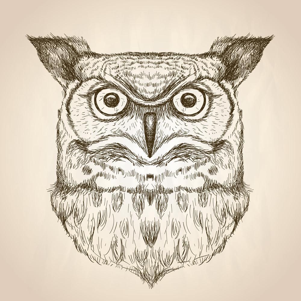 Owl Head Canvas Painting Synthetic Frame-Paintings MDF Framing-AFF_FR-IC 5005473 IC 5005473, Animals, Animated Cartoons, Art and Paintings, Birds, Black, Black and White, Caricature, Cartoons, Digital, Digital Art, Drawing, Education, Fashion, Graphic, Illustrations, Individuals, Nature, Portraits, Retro, Scenic, Schools, Signs, Signs and Symbols, Sketches, Symbols, Universities, Wildlife, owl, head, canvas, painting, synthetic, frame, illustration, cartoon, adorable, animal, art, artwork, beautiful, bird, 