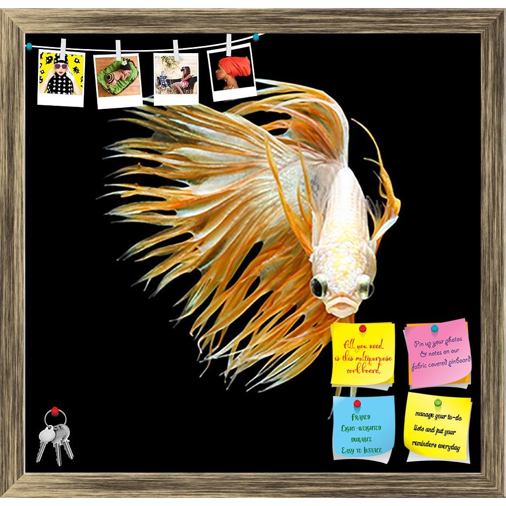 ArtzFolio Betta Fish D5 Printed Bulletin Board Notice Pin Board Soft Board | Framed-Bulletin Boards Framed-AZSAO47971785BLB_FR_L-Image Code 5005510 Vishnu Image Folio Pvt Ltd, IC 5005510, ArtzFolio, Bulletin Boards Framed, Animals, Photography, betta, fish, d5, printed, bulletin, board, notice, pin, soft, framed, siamese, fighting, splendens, crown, tail, isolated, black, background, aggressive, animal, aquarium, aquatic, beautiful, beauty, blue, color, colorful, domestic, dragon, dress, luxury, motion, nat