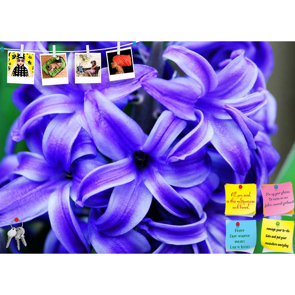 ArtzFolio Amethyst Flower Printed Bulletin Board Notice Pin Board Soft Board | Frameless-Bulletin Boards Frameless-AZSAO49173965BLB_FL_L-Image Code 5005552 Vishnu Image Folio Pvt Ltd, IC 5005552, ArtzFolio, Bulletin Boards Frameless, Floral, Photography, amethyst, flower, printed, bulletin, board, notice, pin, soft, frameless, blue, hyacinth, bloom, spring, fragrance, garden, nature, flora, horticulture, grow, pin up board, push pin board, extra large cork board, big pin board, notice board, small bulletin 