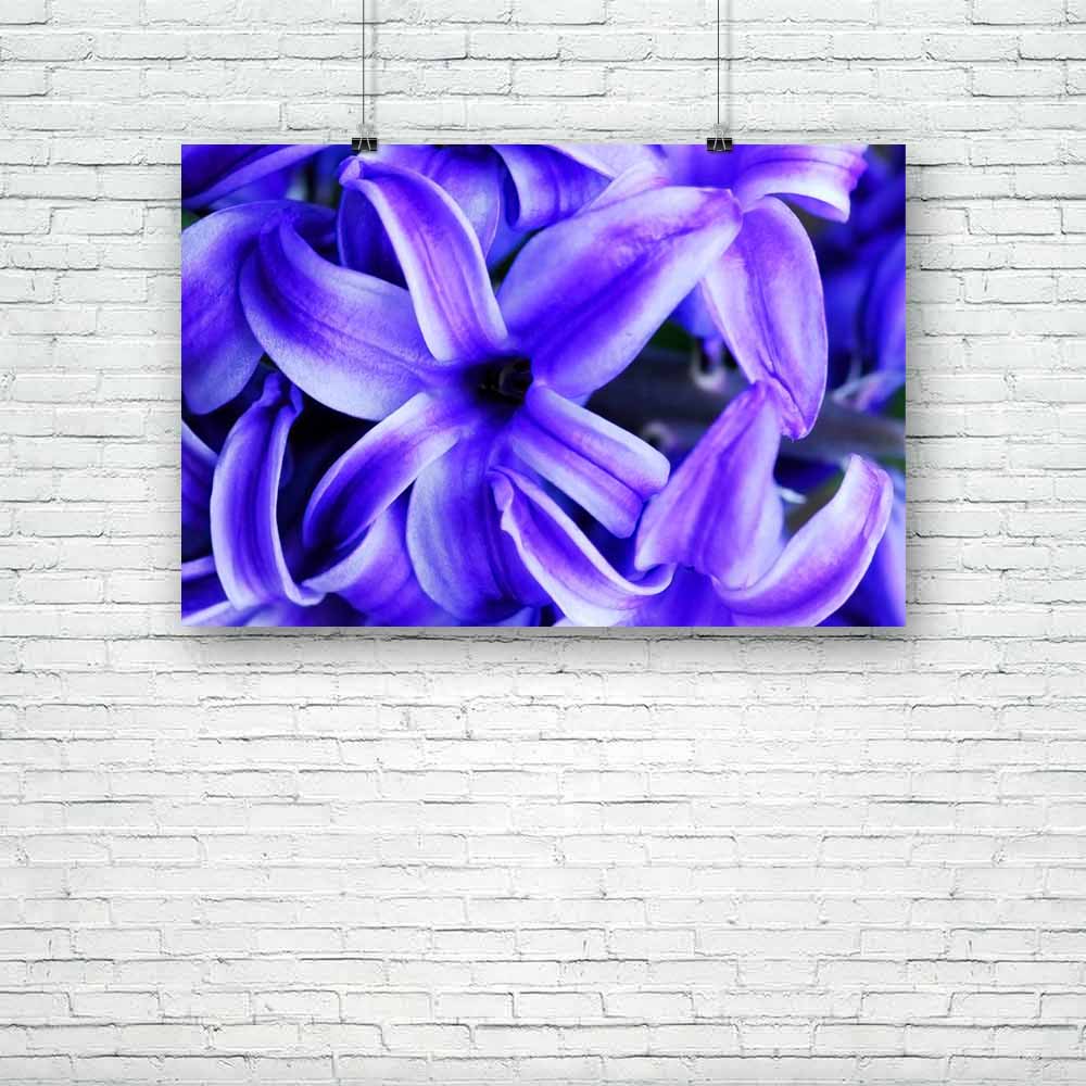 Amethyst Flower Unframed Paper Poster-Paper Posters Unframed-POS_UN-IC 5005552 IC 5005552, Botanical, Culture, Ethnic, Floral, Flowers, Nature, Scenic, Traditional, Tribal, World Culture, amethyst, flower, unframed, paper, poster, bloom, blue, flora, fragrance, garden, grow, horticulture, hyacinth, spring, artzfolio, posters, wall posters, posters for room, posters for room decoration, office poster, door poster, baby poster, motivational posters, posters for room boys, quotes, poster for wall decoration, f