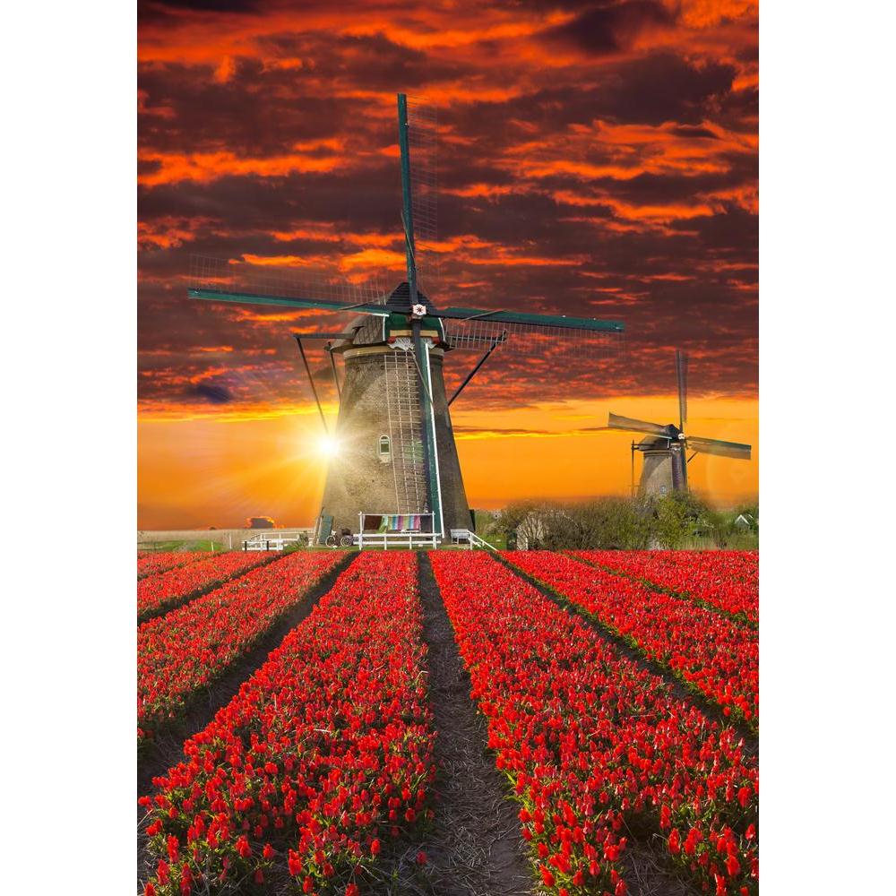 Windmill With Beautiful Tulip Field Holland Canvas Painting Synthetic Frame-Paintings MDF Framing-AFF_FR-IC 5005633 IC 5005633, Architecture, Automobiles, Botanical, Countries, Culture, Ethnic, Floral, Flowers, Landmarks, Landscapes, Nature, Places, Rural, Scenic, Sunrises, Sunsets, Traditional, Transportation, Travel, Tribal, Vehicles, World Culture, windmill, with, beautiful, tulip, field, holland, canvas, painting, synthetic, frame, agriculture, blossom, blue, cloud, country, countryside, dutch, energy, 