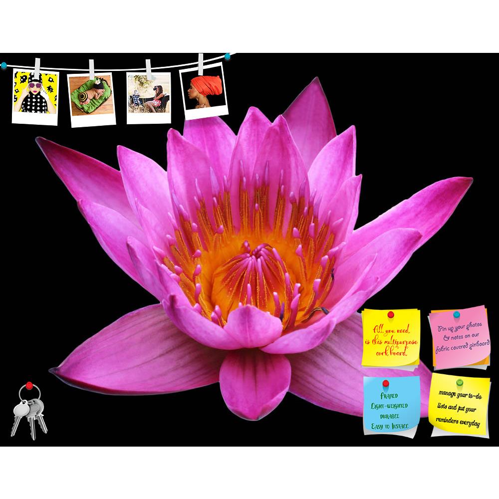 ArtzFolio Pink Lotus Flower Printed Bulletin Board Notice Pin Board Soft Board | Frameless-Bulletin Boards Frameless-AZSAO54939653BLB_FL_L-Image Code 5005653 Vishnu Image Folio Pvt Ltd, IC 5005653, ArtzFolio, Bulletin Boards Frameless, Floral, Photography, pink, lotus, flower, printed, bulletin, board, notice, pin, soft, frameless, black, background, outdoor, closeup, blooming, aquatic, natural, park, tropical, green, spring, petal, yellow, leaf, botanical, botanic, waterlily, pond, summer, blossom, bloom, 
