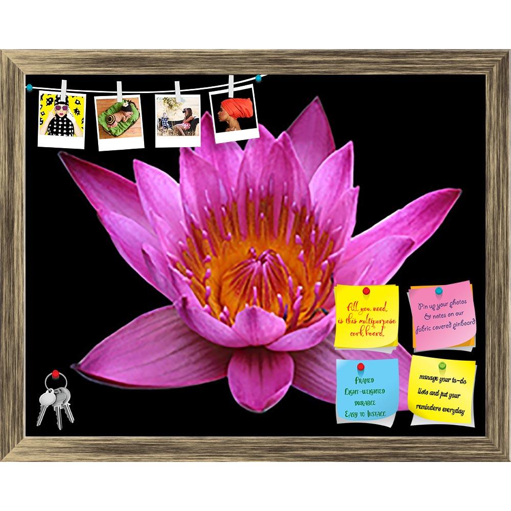 ArtzFolio Pink Lotus Flower Printed Bulletin Board Notice Pin Board Soft Board | Framed-Bulletin Boards Framed-AZSAO54939653BLB_FR_L-Image Code 5005653 Vishnu Image Folio Pvt Ltd, IC 5005653, ArtzFolio, Bulletin Boards Framed, Floral, Photography, pink, lotus, flower, printed, bulletin, board, notice, pin, soft, framed, black, background, outdoor, closeup, blooming, aquatic, natural, park, tropical, green, spring, petal, yellow, leaf, botanical, botanic, waterlily, pond, summer, blossom, bloom, violet, macr