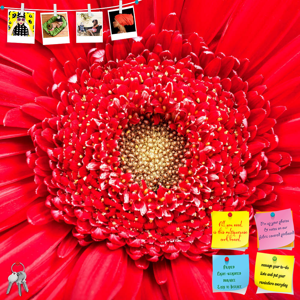 ArtzFolio Yellow Center Of Red Gerbera Bloom Close Up Printed Bulletin Board Notice Pin Board Soft Board | Frameless-Bulletin Boards Frameless-AZSAO58411527BLB_FL_L-Image Code 5005688 Vishnu Image Folio Pvt Ltd, IC 5005688, ArtzFolio, Bulletin Boards Frameless, Floral, Photography, yellow, center, of, red, gerbera, bloom, close, up, printed, bulletin, board, notice, pin, soft, frameless, natural, background, flower, blossom, fresh, nature, texture, aster, daisy, square, head, petal, stamen, plant, pin up bo