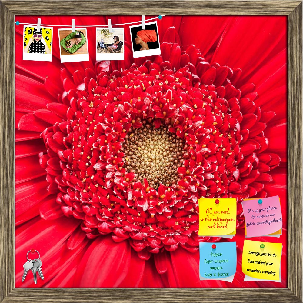 ArtzFolio Yellow Center Of Red Gerbera Bloom Close Up Printed Bulletin Board Notice Pin Board Soft Board | Framed-Bulletin Boards Framed-AZSAO58411527BLB_FR_L-Image Code 5005688 Vishnu Image Folio Pvt Ltd, IC 5005688, ArtzFolio, Bulletin Boards Framed, Floral, Photography, yellow, center, of, red, gerbera, bloom, close, up, printed, bulletin, board, notice, pin, soft, framed, natural, background, flower, blossom, fresh, nature, texture, aster, daisy, square, head, petal, stamen, plant, pin up board, push pi