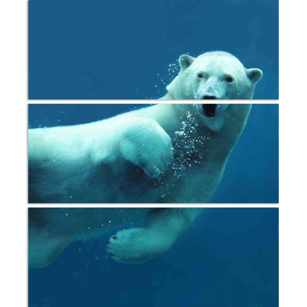 a white polar bear is swimming in the water 